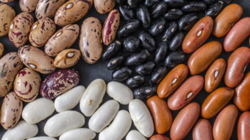 Por que variar os tipos de feijão pode transformar sua alimentação