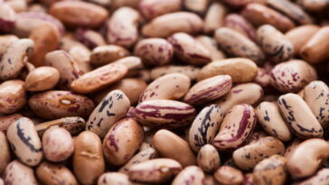 Por que variar os tipos de feijão pode transformar sua alimentação