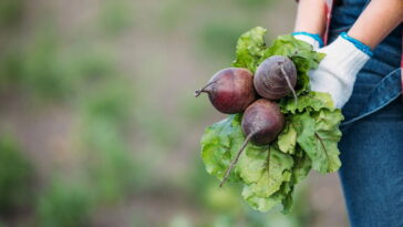 O suco que pode transformar sua saúde e proteger seu coração