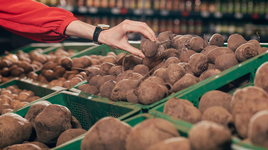 O passo a passo completo para cultivar beterraba sem agrotóxicos