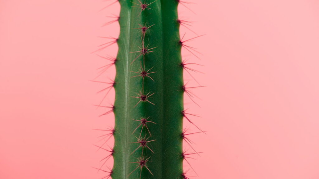 Essa peça pequena e fofa pode mudar seu jeito de fazer crochê