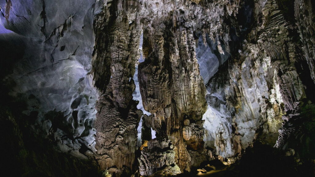 Essa criatura das cavernas sobrevive por décadas sem comida ou luz, conheça o anfíbio ancião