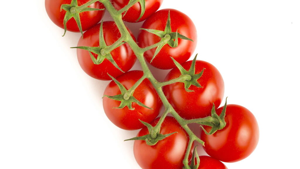 O segredo do cultivo do tomate-cereja em casa que conquistou os brasileiros