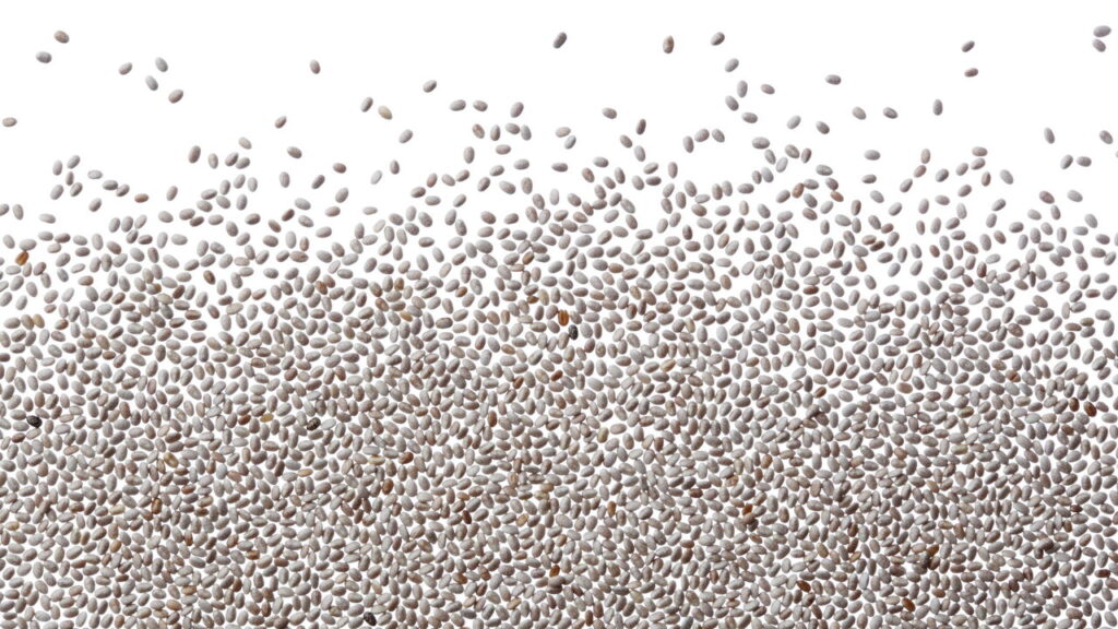 Cultivo de chia em espaços urbanos, veja as dicas para quem mora em apartamento