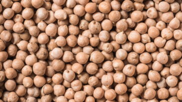 O superalimento brasileiro que está em alta novamente