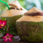 Beber isso diariamente faz bem? Veja o que especialistas realmente falam sobre a água de coco