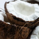 Por que realmente o coco é amado por nutricionistas no mundo todo