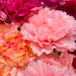 Aprenda a confeccionar este vasinho de crochê com flores que encanta em qualquer ambiente