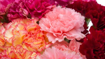 Aprenda a confeccionar este vasinho de crochê com flores que encanta em qualquer ambiente