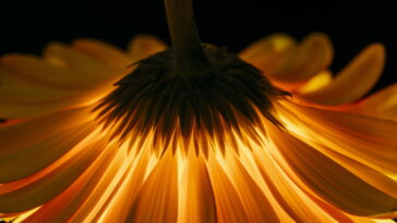 Um detalhe de crochê que transforma qualquer look em algo especial