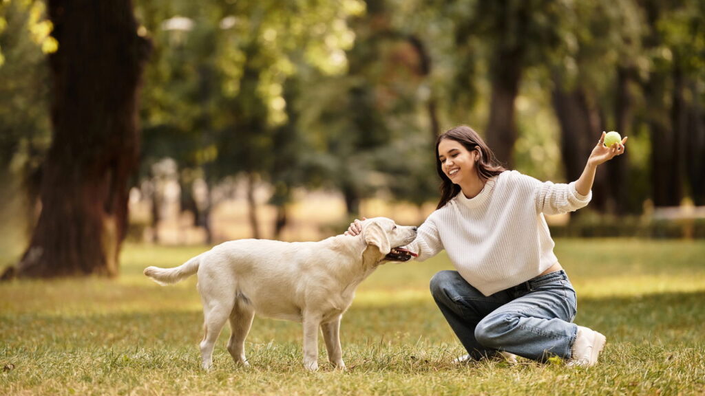 Compreenda os sinais do rabo do cãozinho para uma convivência mais harmônica e profunda