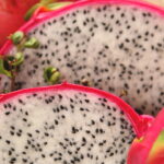 A fruteira ideal combina beleza e conservação com escolhas certas