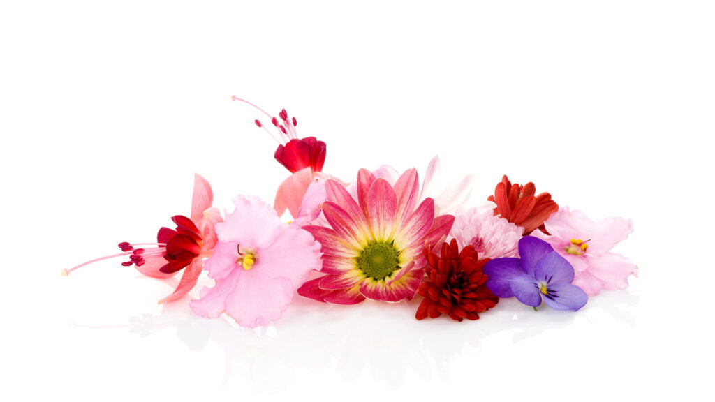 O toque floral que pode transformar suas receitas