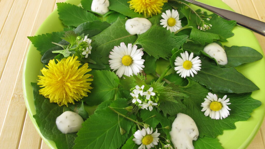 O toque floral que pode transformar suas receitas