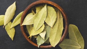 Onde colocar um pote de folhas de louro para atrair dinheiro, segundo o Feng Shui