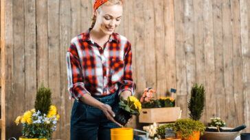 Transforme seu apartamento em um refúgio verde com vasos