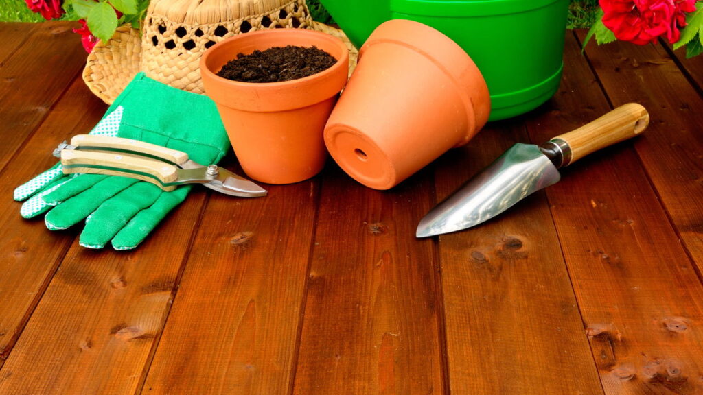 Transforme seu apartamento em um refúgio verde com vasos
