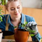 Um detalhe simples pode salvar suas plantas em vasos sem furos