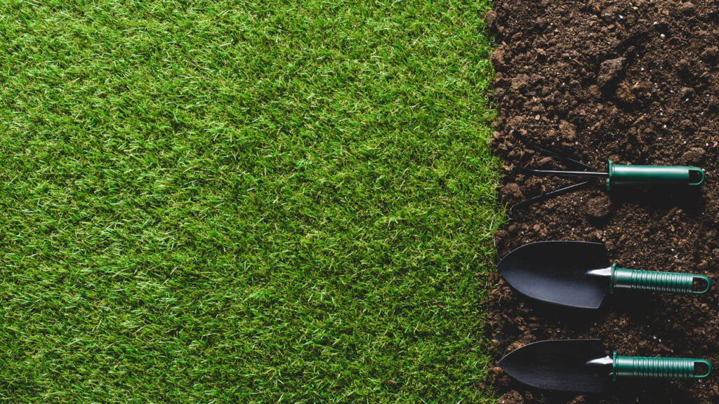 Essa planta simples está virando tendência em varandas e apartamentos