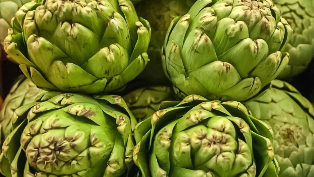 Curiosidades incríveis sobre o recorde do maior vegetal do mundo em sua categoria