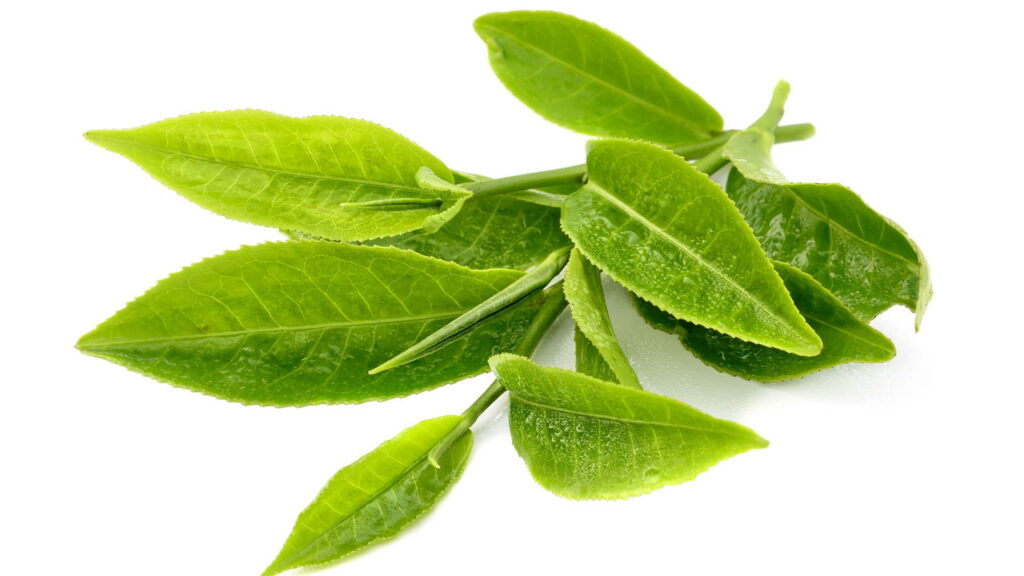 Natural e acessível, descubra a bebida que pode turbinar seu desempenho físico e mental