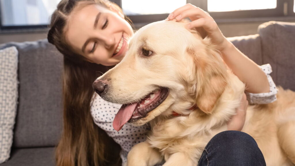 5 sinais de que seu cachorro não está lidando bem com a solidão