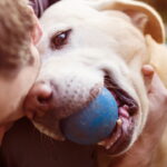 5 sinais de que seu cachorro não está lidando bem com a solidão