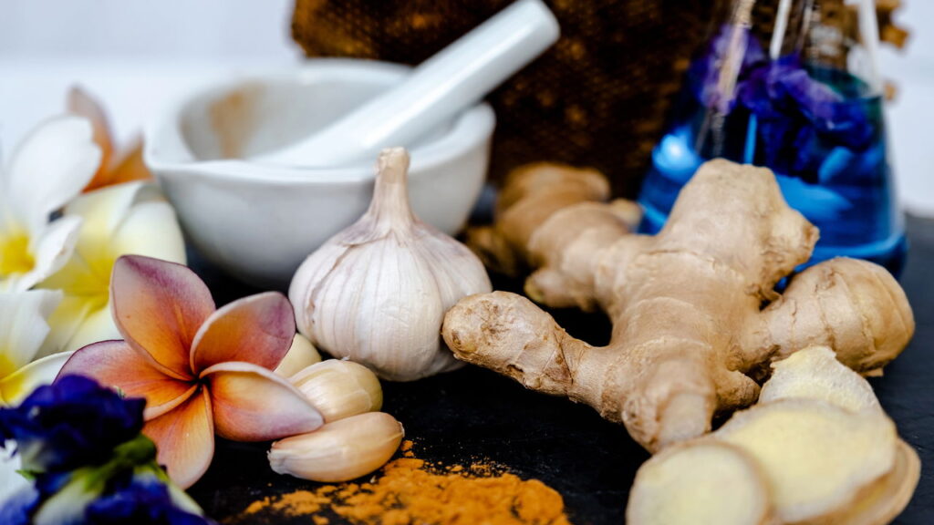 O que o Brasil está descobrindo com suas plantas medicinais atualmente?