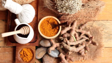 O que o Brasil está descobrindo com suas plantas medicinais atualmente?