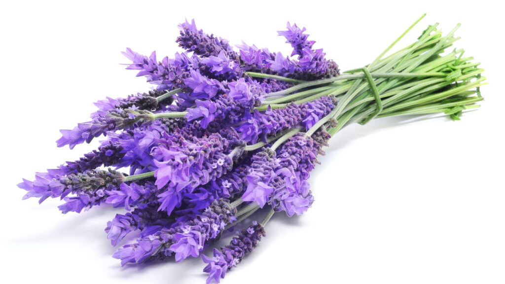 Chaveiro de lavandas em crochê, uma peça com delicadeza para decorar e presentear
