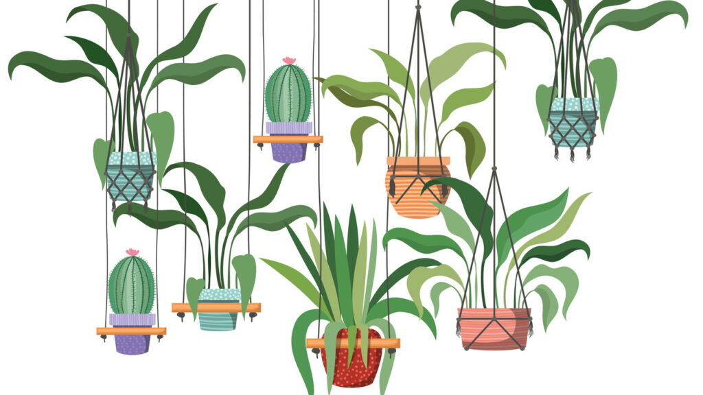 Macramê volta com tudo na decoração e agora virou o queridinho dos amantes de plantas