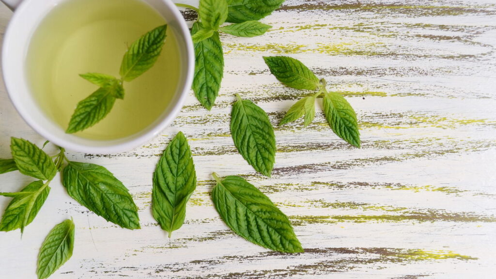 Chá de hortelã, o aliado natural mais poderoso da digestão