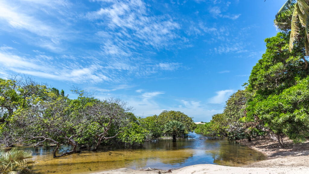 Abalos sísmicos assustam moradores de Vera Cruz na Bahia