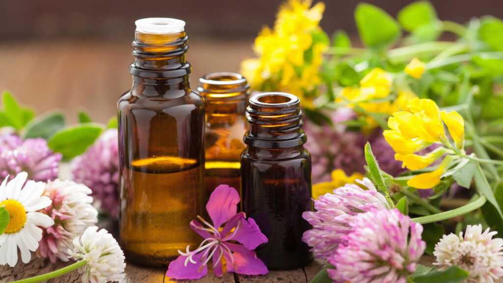 O que o Brasil está descobrindo com suas plantas medicinais atualmente?