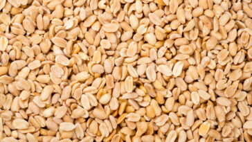 Como plantar amendoim em casa de forma simples e prática