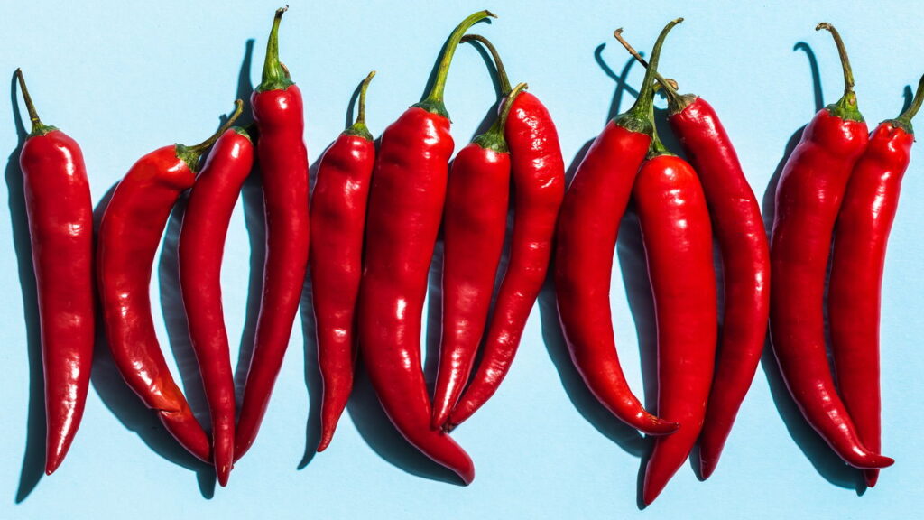 Cultivo de pimenta em vaso transforma qualquer espaço urbano em uma horta cheia de sabor
