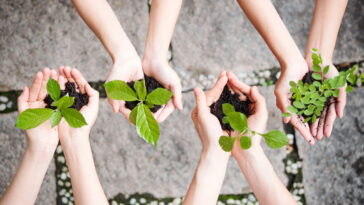 O movimento dos jardineiros que pode transformar o futuro do Brasil