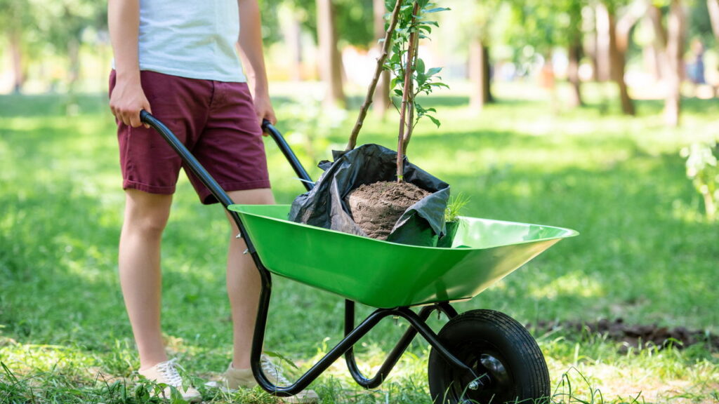 O movimento dos jardineiros que pode transformar o futuro do Brasil