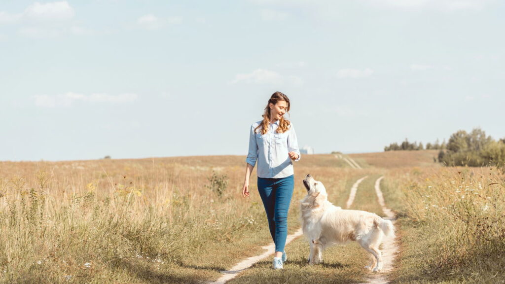 Pesquisadores revelam que poucos passos já trazem benefícios surpreendentes