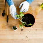 Uma prática simples que pode transformar sua saúde e bem-estar