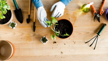 Uma prática simples que pode transformar sua saúde e bem-estar