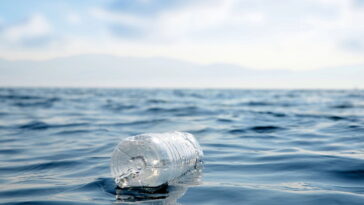 O truque com garrafa PET que está ajudando o planeta em silêncio