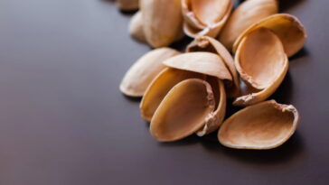 Por que as cascas de pistache viraram tendência na jardinagem urbana