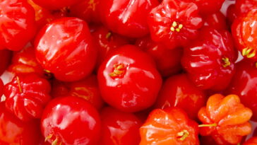 A fruta essencial para plantar em casa que dá frutos o ano todo