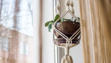Macramê volta com tudo na decoração e agora virou o queridinho dos amantes de plantas