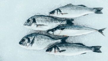 Qual importância do peixe na dieta de diabéticos? Como escolher o melhor para sua saúde?