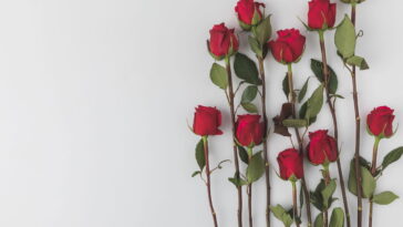 Essa rosa feita à mão está encantando quem ama presentear com afeto