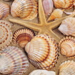 O detalhe de crochê que transforma seu trabalho artesanal com um toque praiano