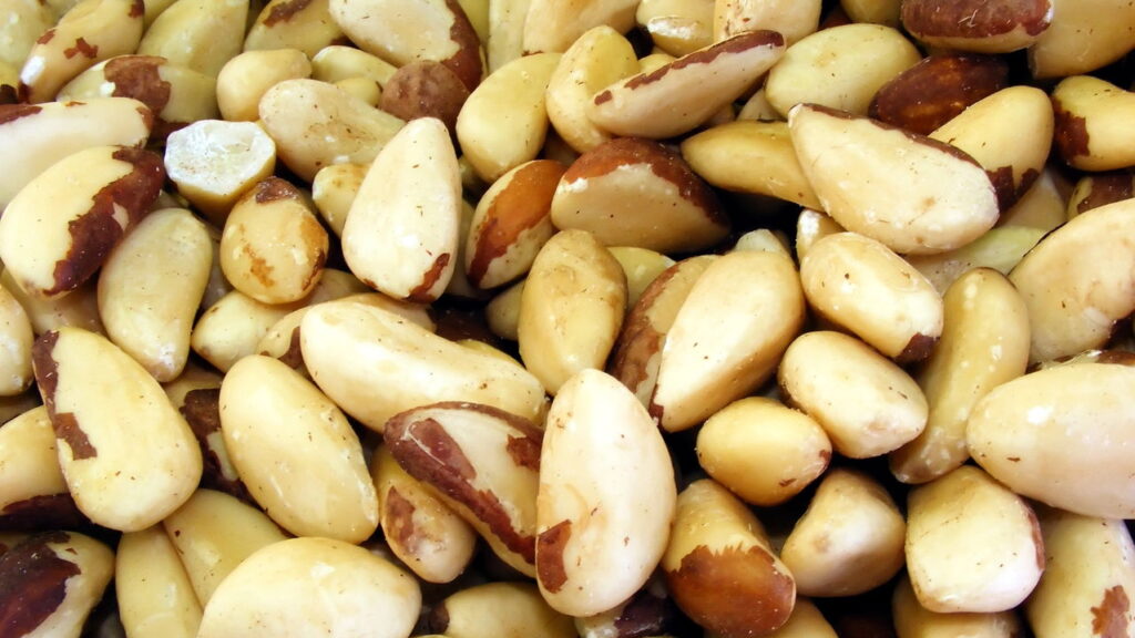 O que é o selênio? Para que serve? Benefícios, riscos e como consumir com segurança