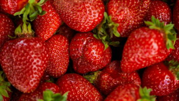Descanso de panelas fácil e com formato de morango perfeito para sua mesa do dia a dia